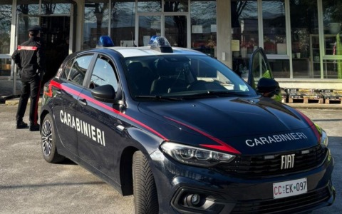 Arrestato un 51enne dopo un furto in un vivaio a Palazzolo sull’Oglio
