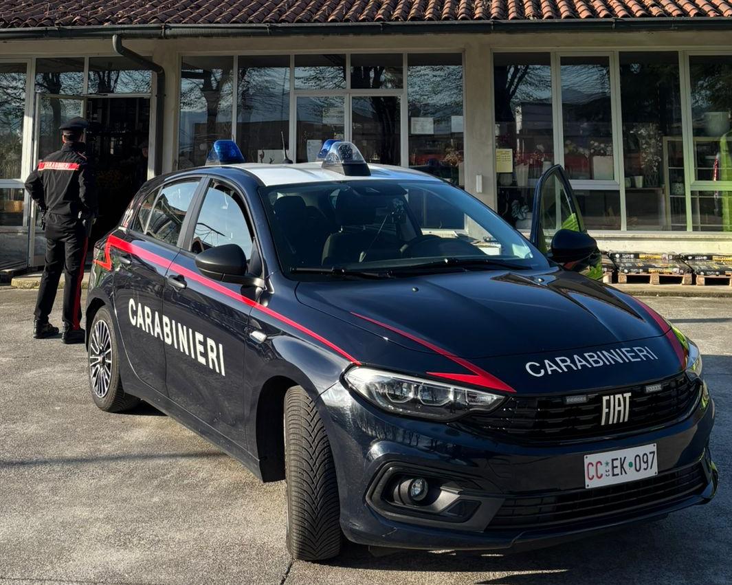 Arrestato un 51enne dopo un furto in un vivaio a Palazzolo sull’Oglio