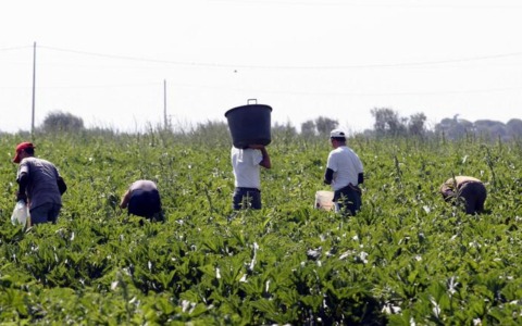 Immigrazione clandestina e caporalato: smantellata un’associazione transnazionale