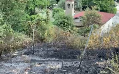 Incendio sul monte di Capriolo, vigneto e bosco danneggiati