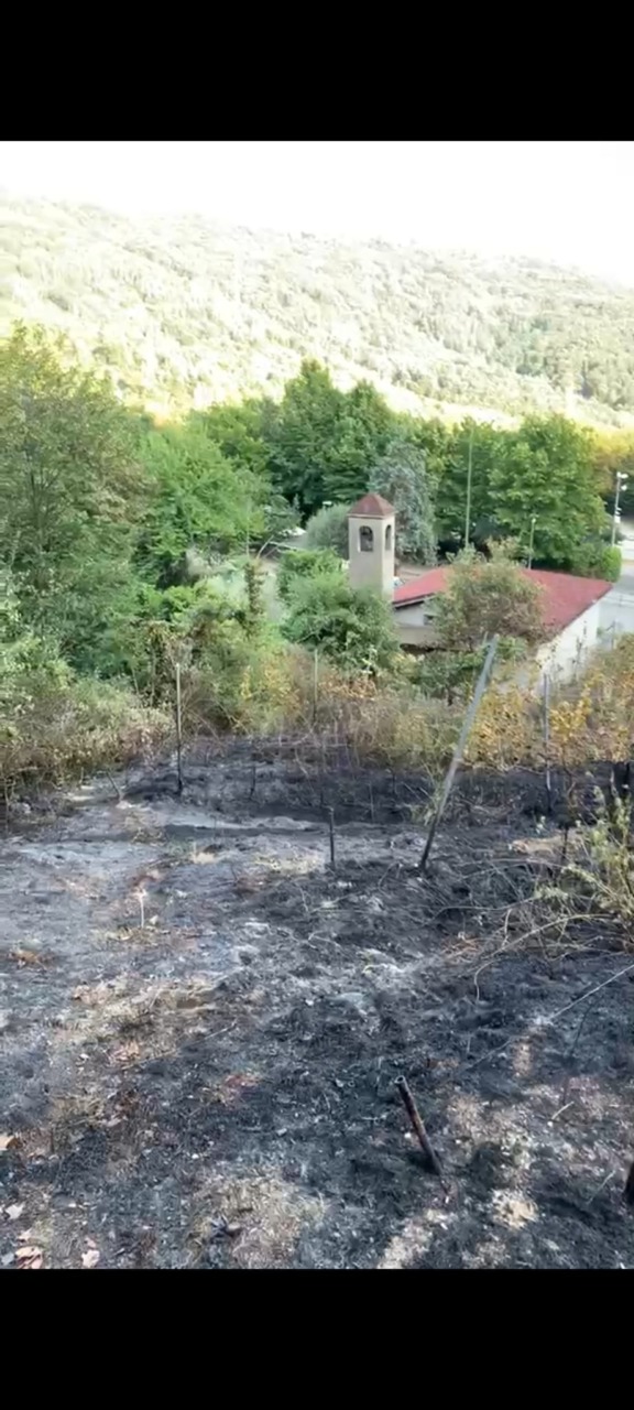 Incendio sul monte di Capriolo, vigneto e bosco danneggiati